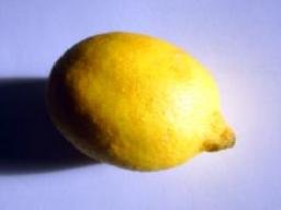 Zitrone.JPG