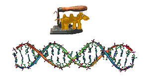 DNA-Bügeln.PNG